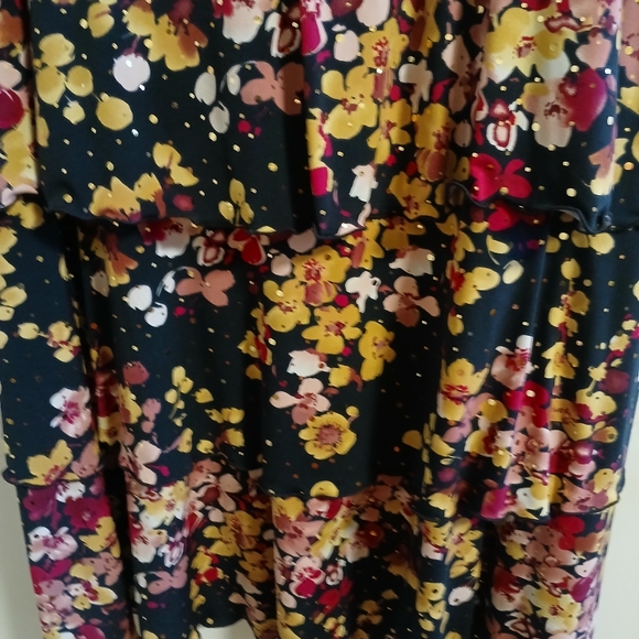 Kim & Co Party Dress - Picture 5 of 6